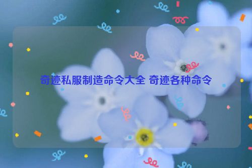 奇迹私服制造命令大全 奇迹各种命令