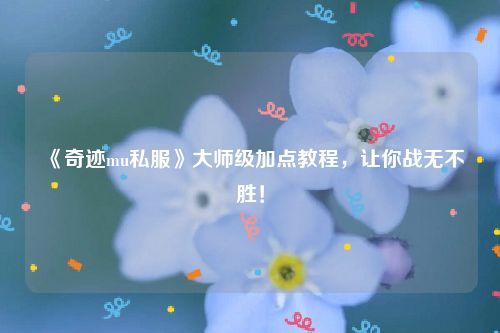 《奇迹mu私服》大师级加点教程，让你战无不胜！