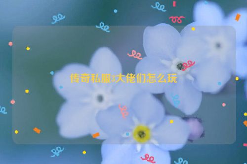 传奇私服3大佬们怎么玩