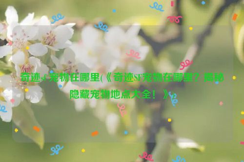 奇迹sf 宠物在哪里(《奇迹SF宠物在哪里？揭秘隐藏宠物地点大全！》)