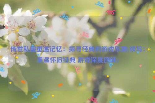 传世私服重温记忆：探寻经典的游戏乐趣(续写：重温怀旧经典 游戏深度回味)