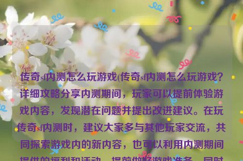 传奇sf内测怎么玩游戏(传奇sf内测怎么玩游戏？详细攻略分享内测期间，玩家可以提前体验游戏内容，发现潜在问题并提出改进建议。在玩传奇sf内测时，建议大家多与其他玩家交流，共同探索游戏内的新内容，也可以利用内测期间提供的福利和活动，提前做好游戏准备。同时要注意保护个人信息，避免在游戏中泄露重要信息。)