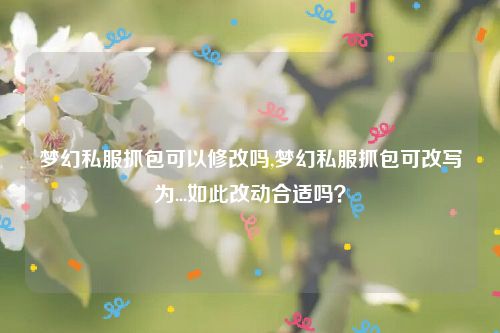 梦幻私服抓包可以修改吗,梦幻私服抓包可改写为...如此改动合适吗？