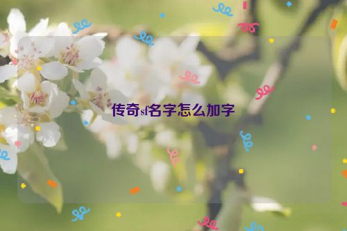 传奇sf名字怎么加字