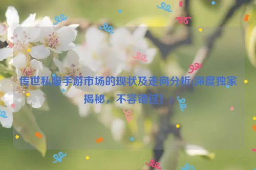 传世私服手游市场的现状及走向分析(深度独家揭秘，不容错过！)