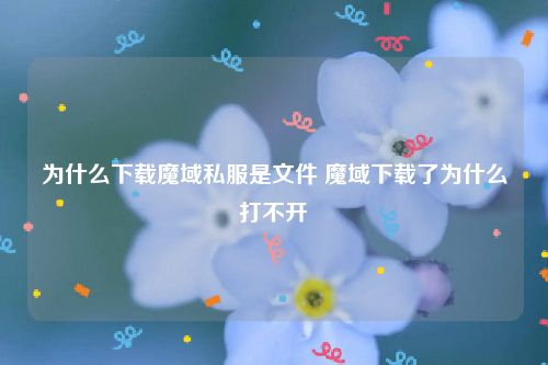 为什么下载魔域私服是文件 魔域下载了为什么打不开