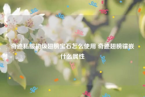 奇迹私服初级翅膀宝石怎么使用 奇迹翅膀镶嵌什么属性