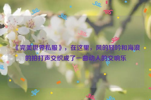 《完美世界私服》，在这里，风的轻吟和海浪的拍打声交织成了一曲动人的交响乐