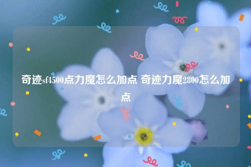 奇迹sf4500点力魔怎么加点 奇迹力魔2800怎么加点